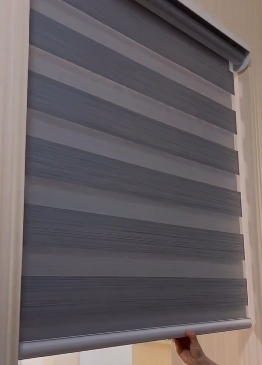 Zebra Sheer Shades